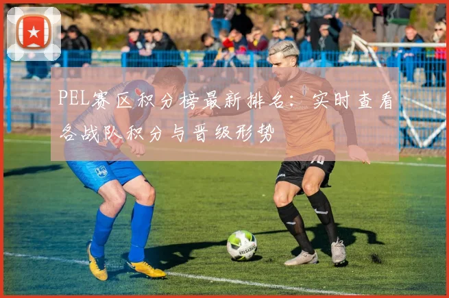 PEL赛区积分榜最新排名：实时查看各战队积分与晋级形势
